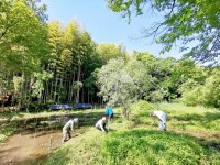 ߘa6NxNxIIO[v  <br>Yw̘AgɂVx_n@\ȎnO[Ct̋n